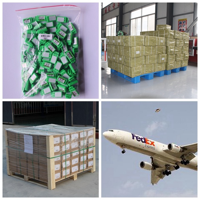 Sceau de compteur électrique