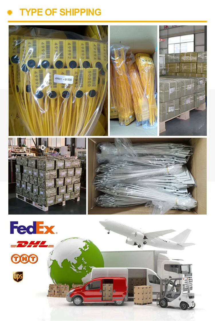 Expédition et transport Shipping&Transportation