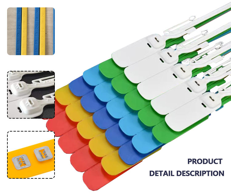 1706508764645993.jpg 1706508764645993.jpg