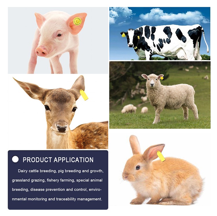 1716175765722579.jpg 动物耳标_08.jpg