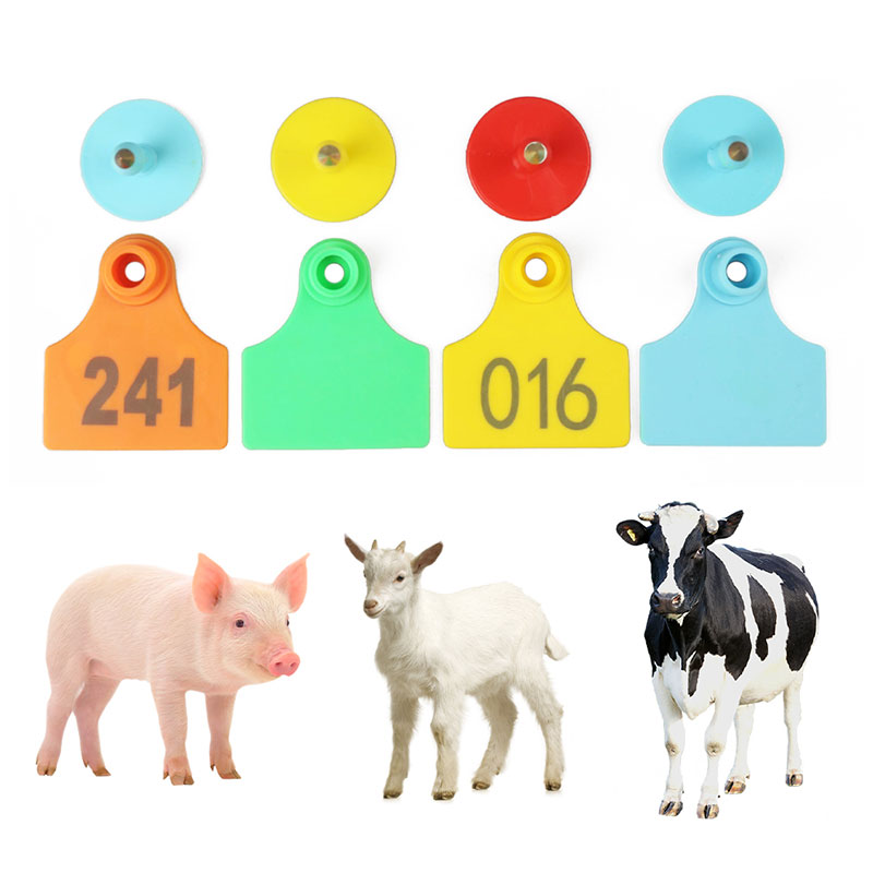 étiquettes d'oreille pour animaux