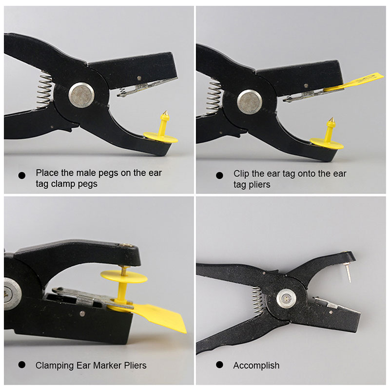 Applications d'étiquettes auriculaires pour animaux